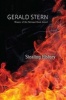 Stealing History (Hardcover) - Gerald Stern Photo