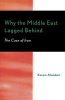 Why the Middle East Lagged Behind - The Case of Iran (Paperback) - Kazem Alamdari Photo