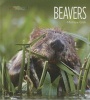 Beavers (Hardcover) - Melissa Gish Photo