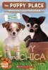 The Puppy Place: Chewy & Chica (Paperback) - Ellen Miles Photo