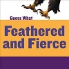 Feathered and Fierce - Bald Eagle (Hardcover) - Kelly Calhoun Photo