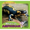 What's an Amphibian? (Paperback) - Anna Kaspar Photo