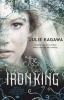 The Iron King (the Iron Fey, Book 1) (Paperback) - Julie Kagawa Photo