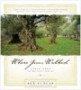 Where Jesus Walked (Hardcover) - Ken Duncan Photo