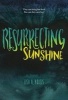 Resurrecting Sunshine (Paperback) - Lisa A Koosis Photo