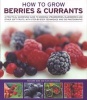 How to Grow Berries and Currants - A Practical Gardening Guide for Great Results, with Step-by-step Techniques and 185 Colour Photographs (Paperback) - Richard Bird Photo