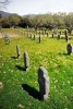 Cemetery of German Soldiers in Yuste Spain Journal - 150 Page Lined Notebook/Diary (Paperback) - Cool Image Photo