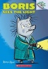 Boris Sees the Light (Paperback) - Andrew Joyner Photo