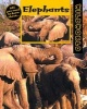 Elephants (Paperback, New ed) - Karen Dudley Photo