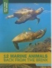 12 Marine Animals Back from the Brink (Paperback) - Nancy Furstinger Photo