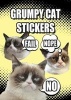  Stickers (Paperback) - Grumpy Cat Photo