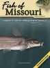 Fish of Missouri Field Guide (Paperback) - Dave Bosanko Photo