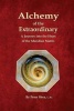 Alchemy of the Extraordinary - A Journey Into the Heart of the Meridian Matrix (Paperback) - Peter Shea L Ac Photo