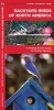 Backyard Birds of North America - A Folding Pocket Guide to Familiar Species (Pamphlet) - James Kavanagh Photo