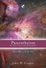 Panentheism: the Other God of the Philosophers - From Plato to the Present (Paperback) - John W Cooper Photo