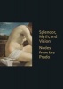 Splendor, Myth, and Vision - Nudes from the Prado (Hardcover) - Thomas J Loughman Photo