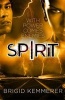 Spirit (Paperback) - Brigid Kemmerer Photo