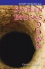 Sixteen Bricks Down (Paperback) - Dennis Hamley Photo