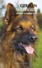 German Shepherds Weekly Planner 2017 - 16 Month Calendar (Paperback) - David Mann Photo