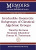 Irreducible Geometric Subgroups of Classical Algebraic Groups (Paperback) - Soumaia Ghandour Photo