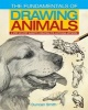 The Fundamentals of Drawing Animals - A Step-by-Step Guide to Creating Eye-Catching Artwork (Paperback) - Duncan Smith Photo