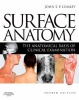 Surface Anatomy - The Anatomical Basis of Clinical Examination (Paperback, 4th Revised edition) - John SP Lumley Photo