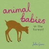 Animal Babies in the Forest! (Board book) - Julia Groves Photo