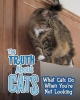 The Truth about Cats - What Cats Do When You're Not Looking (Hardcover) - Mary Colson Photo