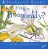 Are You a Dragonfly? (Paperback) - Judy Allen Photo