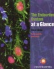 The Endocrine System at a Glance (Paperback, 3rd Revised edition) - Ben Greenstein Photo