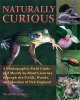 Naturally Curious - A Photographic Field Guide and Month-By-Month Journey Through the Fields, Woods, and Marshes of New England (Paperback) - Mary Holland Photo