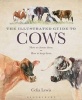 The Illustrated Guide to Cows - How to Choose Them, How to Keep Them (Hardcover, New) - Celia Lewis Photo