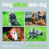 Living with an Older Dog (Paperback) - David Alderton Photo