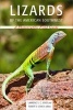 Lizards of the American Southwest - A Photographic Field Guide (Paperback) - Lawrence L C Jones Photo