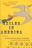 Exiles in America (Paperback) - Christopher Bram Photo