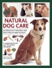 Natural Dog Care - Alternative Therapies for Dog Health and Vitality (Hardcover) - John Hoare Photo