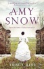 Amy Snow - The Richard and Judy Bestseller (Paperback) - Tracy Rees Photo