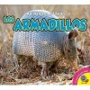 Los Armadillos (Armadillos) (English, Spanish, Hardcover) - Aaron Carr Photo