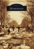 Honesdale (Paperback) - Kim Erickson Photo