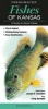 Freshwater Fishes of Kansas - A Guide to Game Fishes (Book) - Craig Springer Photo