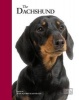 Dachshund (Hardcover) - Judy Squires Photo