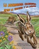 Tortoise and Hare's Amazing Race (English, Spanish, Paperback) - Marianne Collins Berkes Photo