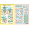 Hand Reflexology (Poster) -  Photo