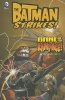 Bane on the Rampage! (Hardcover) - Bill Matheny Photo