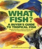 What Fish? a Buyer's Guide to Tropical Fish - Essential Information to Help You Choose the Right Fish for Your Tropical Freshwater Aquarium (Paperback, For the Us & Ca) - Nick Flethcer Photo