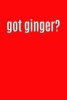 Got Ginger? - Writing Journal Lined, Diary, Notebook for Men & Women (Paperback) - Journals and More Photo