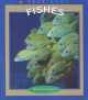 Fishes (Paperback) - Melissa Stewart Photo