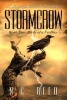 Stormcrow - Birds of a Feather (Paperback) - N Creed Photo