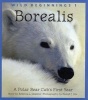 Borealis - A Polar Bear Cub's First Year (Paperback) - Rebecca L Grambo Photo