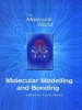 Molecular Modelling and Bonding (Paperback) - EA Moore Photo